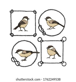 Vector card with hand drawn cute Willow Tits in nautical rope frames. Ink drawing, beautiful animal design elements. Logo template