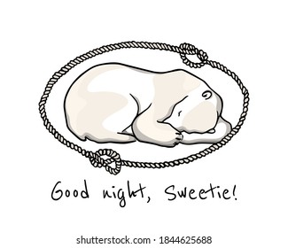 Vector card with hand drawn cute sleeping polar bear in nautical rope frame. Beautiful ink drawing, animal illustration