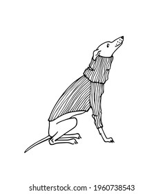 Vector card with hand drawn cute whippet in a warm knitted sweater. Beautiful design elements, ink drawing, funny illustration. 