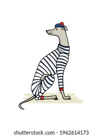 Vector card with hand drawn cute whippet in stripe sailor outfit and pom pom beret. Beautiful design elements, ink drawing, funny illustration. 