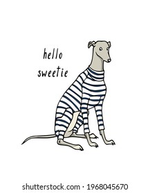 Vector card with hand drawn cute whippet in a stripe sweet pyjamas. Beautiful design elements, ink drawing, funny illustration. 