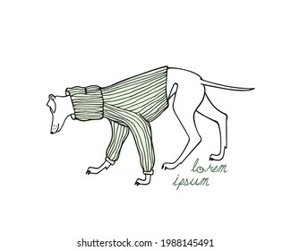 Vector card with hand drawn cute whippet in a warm knitted jumper. Beautiful design elements, ink drawing, funny illustration. 