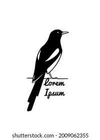 Vector card with hand drawn cute Magpie. Ink drawing, graphic style, logo template. Beautiful animal design elements.
