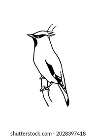 Vektorkarte mit handgezeichnet süßem Flügel auf einem Baumzweig. Tintenzeichnung, Grafikstil. Schöne Elemente der Tiergestaltung.