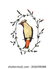 Vektorkarte mit handgezeichnet niedlichem Waxwing in anmutigem Blumenkranz. Tintenzeichnung, Grafikstil. Schöne Elemente der Tiergestaltung.