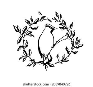 Vector card with hand drawn cute Waxwing in graceful leafy floral wreath. Ink drawing, graphic style. Beautiful animal design elements.