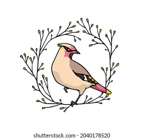 Tarjeta vectorial con mano dibujada lindo Waxwing en elegante corona floral. Dibujo de tinta, estilo gráfico. Bellos elementos de diseño animal.