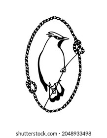 Tarjeta vectorial con Waxwing lindo dibujado a mano en marco de cuerda náutica. Dibujo de tinta, estilo gráfico. Bellos elementos de diseño animal.