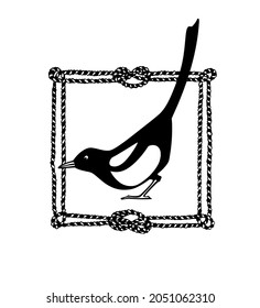 Vector card with hand drawn cute Magpie in nautical rope frame. Ink drawing, graphic style. Beautiful animal illustration.