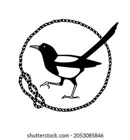 Vector card with hand drawn cute Magpie in nautical rope frame. Ink drawing, graphic style. Beautiful animal illustration.
