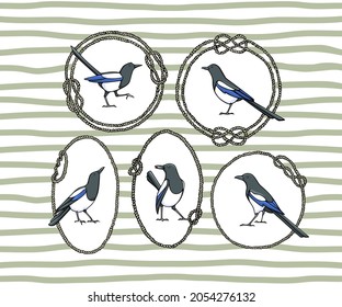 Vector card with hand drawn cute Magpies in nautical rope frames on striped background. Ink drawing, graphic style. Beautiful animal illustration.