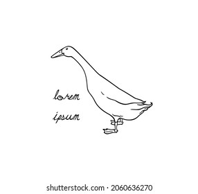 Vector card with hand drawn cute Indian Runner duck. Ink drawing, graphic style. Beautiful farm products design elements.