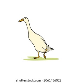 Vector card with hand drawn cute white Indian Runner duck. Ink drawing, graphic style. Beautiful farm products design elements. svg