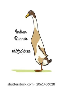 Vector card with hand drawn cute fawn and white Indian Runner duck. Ink drawing, graphic style. Beautiful farm products design elements. svg