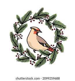 Vector card with hand drawn cute Waxwing in floral cranberry wreath. Ink drawing, graphic style. Beautiful Christmas or animal design elements.