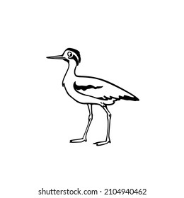 Tarjeta vectorial con la linda rodilla Great Thick dibujada a mano en forma de caricatura. Dibujo de tinta, boceto rápido. Bellos elementos de diseño animal.