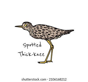 Vector card with hand drawn cute Thick knee with a funny face made in cartoon style. Ink drawing, beautiful animal design elements.