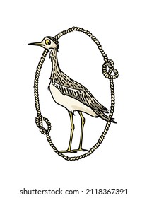 Vector card with hand drawn cute Indian Thick knee in nautical rope frame made in cartoon style. Ink drawing, fast sketch. Beautiful animal design elements.