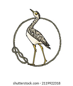 Vector card with hand drawn cute Indian Thick knee in nautical rope frame made in cartoon style. Ink drawing, fast sketch. Beautiful animal design elements.