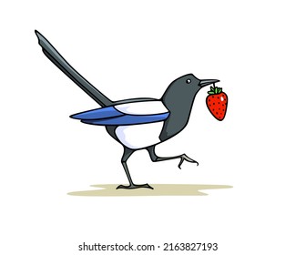 Vector card with hand drawn cute Magpie with a juicy strawberry in its beak. Ink drawing, graphic style. Beautiful animal design elements, funny illustration.