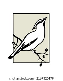 Vector card with hand drawn cute Waxwing sitting on a tree branch in austere frame. Ink drawing, graphic style. Beautiful animal design elements, logo template