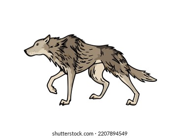 Vector card with hand drawn cute graceful Gray wolf. Ink drawing, graphic style. Beautiful wild nature design elements. 