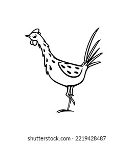 Vektorkarte mit handgezeichnet niedlichem, lustigem Huhn. Schöne Farbzeichnung, schwere Kontur, Grafikstil. Perfekte Elemente für die Gestaltung von Lebensmitteln oder Landwirtschaft.