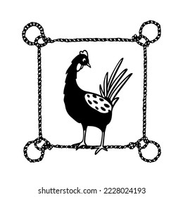 Vector card with hand drawn cute proud chicken in nautical rope frame. Beautiful ink drawing, heavy contour, graphic style. Perfect elements for food or farming logo design.