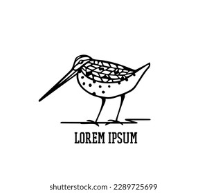 Vector card with hand drawn cute snipe. Ink drawing, decorative graphic style. Beautiful animal design elements, perfect for logo design