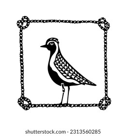 Tarjeta vectorial con mano dibujada lindo Golden Plover en marco de cuerda náutica. Dibujo de tinta, estilo gráfico decorativo. Hermosos elementos de diseño animal, perfectos para el diseño del logo