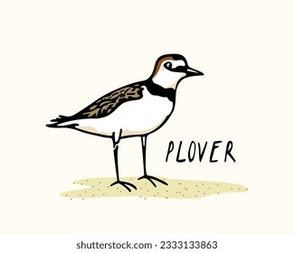 Vektorkarte mit handgezeichnet süßem Plover. Schöne Elemente des Tierdesigns, Farbzeichnung