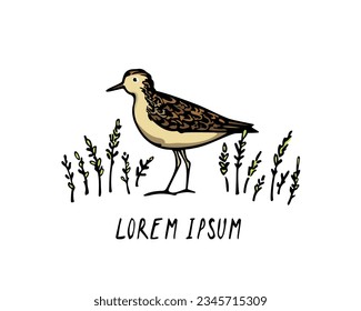 Vector card with hand drawn cute plover among wetland grass. Beautiful animal design elements, ink drawing, logo template