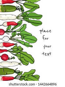 Vector card with hand drawn different types of ripe radish. Beautiful food design elements, ink drawing