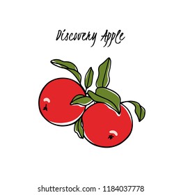 Vector card with hand drawn Discovery apple. Beautiful food design elements. Ink drawing