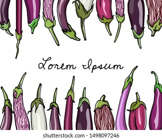 Vector card with hand drawn eggplant varieties. Ink drawing, beautiful food design elements.