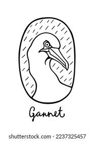 Vector card with hand drawn elegant Gannet in austere ellipse frame. Beautiful wild animal illustration, ink drawing, graphic style. Logo template