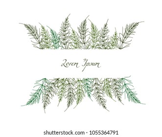 Vector card with hand drawn field horsetail stems. Beautiful floral design elements, ink drawing.