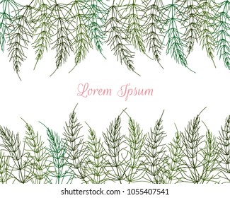 Vector card with hand drawn field horsetail stems. Beautiful floral design elements, ink drawing.