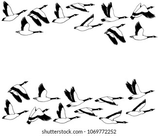 Vector card with hand drawn flock of flying wild geese. Beautiful animal design elements, ink drawing.