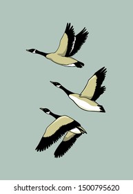 Vector card with hand drawn flock of flying wild geese. Beautiful animal design elements, ink drawing.