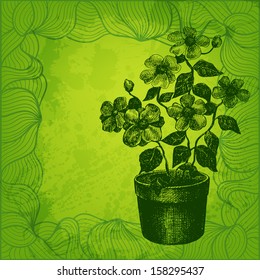 Vector card. Hand drawn flower in pot