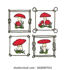 Vector card with hand drawn Fly Agaric mushrooms in nautical rope frames. Ink drawing, graphic style. Beautiful food and wild nature design elements.