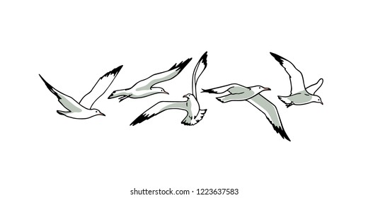 Vector card with  hand drawn flying seagulls. Ink drawing, beautiful animal design elements.