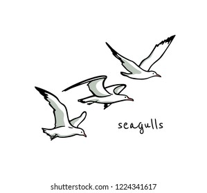 Vector card with  hand drawn flying seagulls. Ink drawing, beautiful animal design elements.