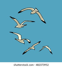 Vector card with hand drawn flying sea gulls. Beautiful sea life design elements.