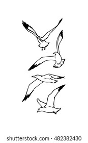 Vector card with hand drawn flying sea gulls. Beautiful sea life design elements.
