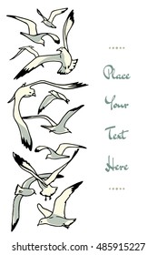 Vector card with hand drawn flying sea gulls. Beautiful sea life design elements.