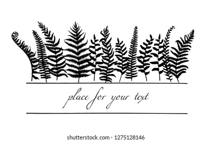 Vector card with hand drawn forest ferns. Ink drawing, beautiful floral design elements.