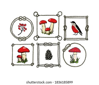 Vector card with hand drawn forest images: a red-breasted bird, wild mushrooms, a pine cone, a barberry twig in vintage rope frames made with ink. Perfect wild nature design elements.