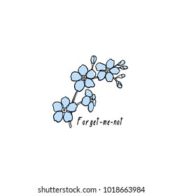 Vector card and hand drawn forget  me  not flower  Beautiful design elements  ink drawing  perfect for romantic card 